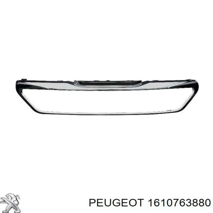 Placa sobreposta (carcaça) de grelha do radiador Prasco PG4282216 preço, a partir de 107,51 USD