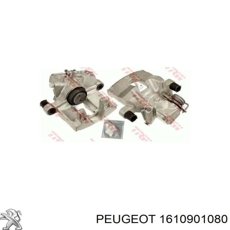 1610901080 Peugeot/Citroen Suporte do freio traseiro direito