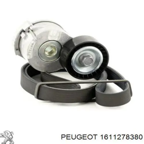 Correia dos conjuntos de transmissão, kit Peugeot/Citroen 1611278380
