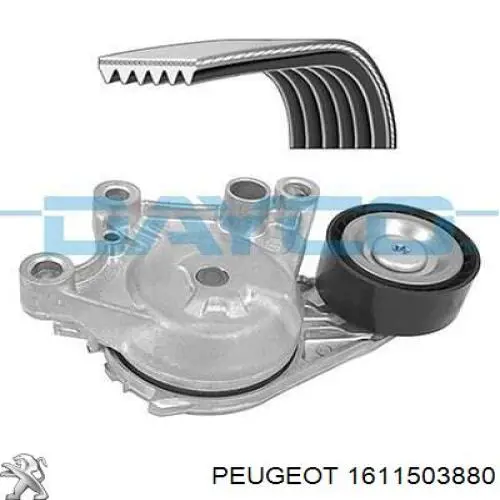 Correia dos conjuntos de transmissão, kit Peugeot/Citroen 1611503880 preço, a partir de 48,24 USD