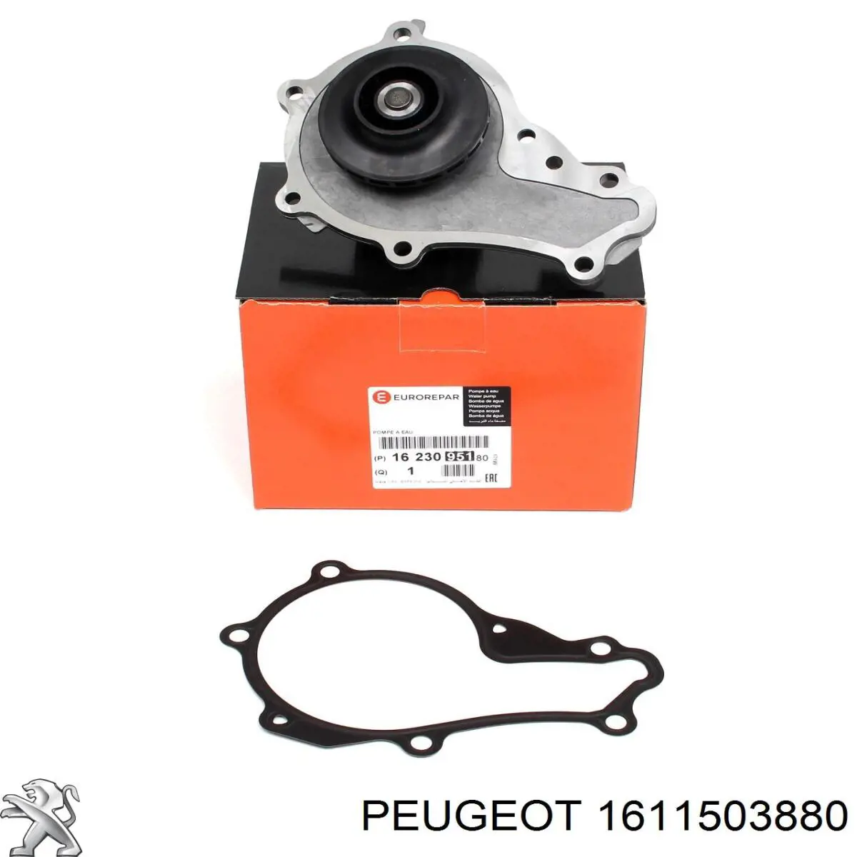 Correia dos conjuntos de transmissão, kit 1611503880 Peugeot/Citroen