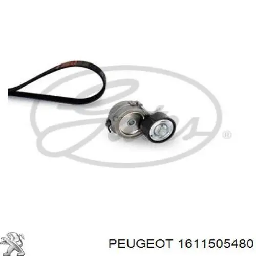 Correia dos conjuntos de transmissão, kit Peugeot/Citroen 9819833380 preço, a partir de 61,40 USD