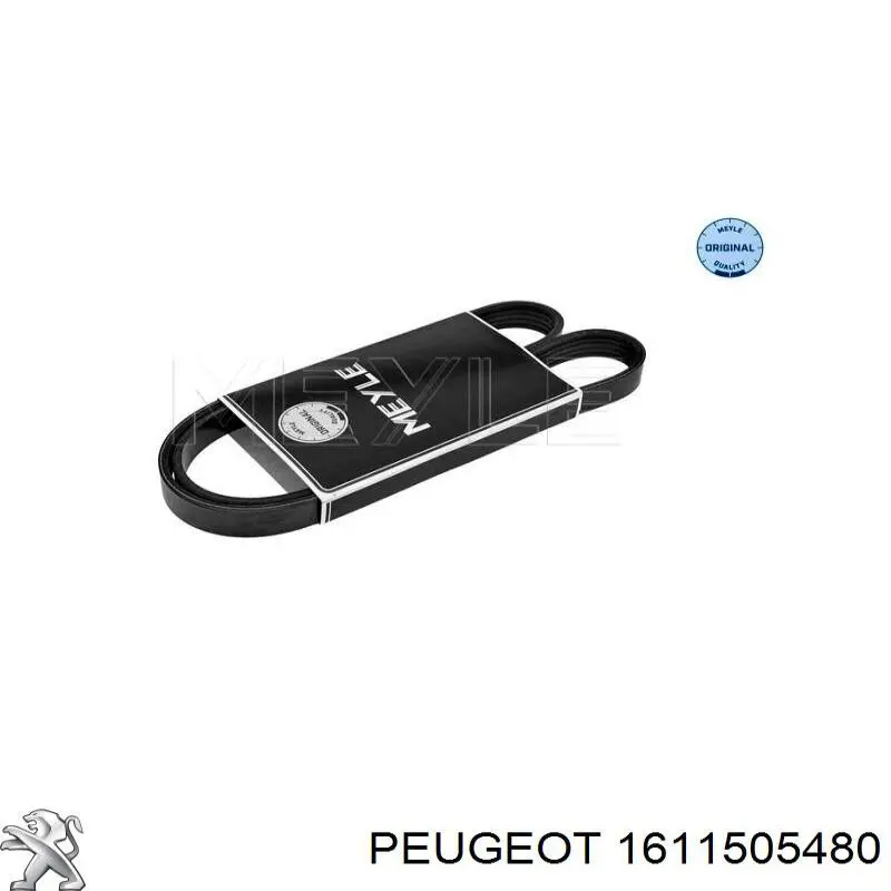 Compre 9819833380 Peugeot/Citroen Correia dos conjuntos de transmissão, kit