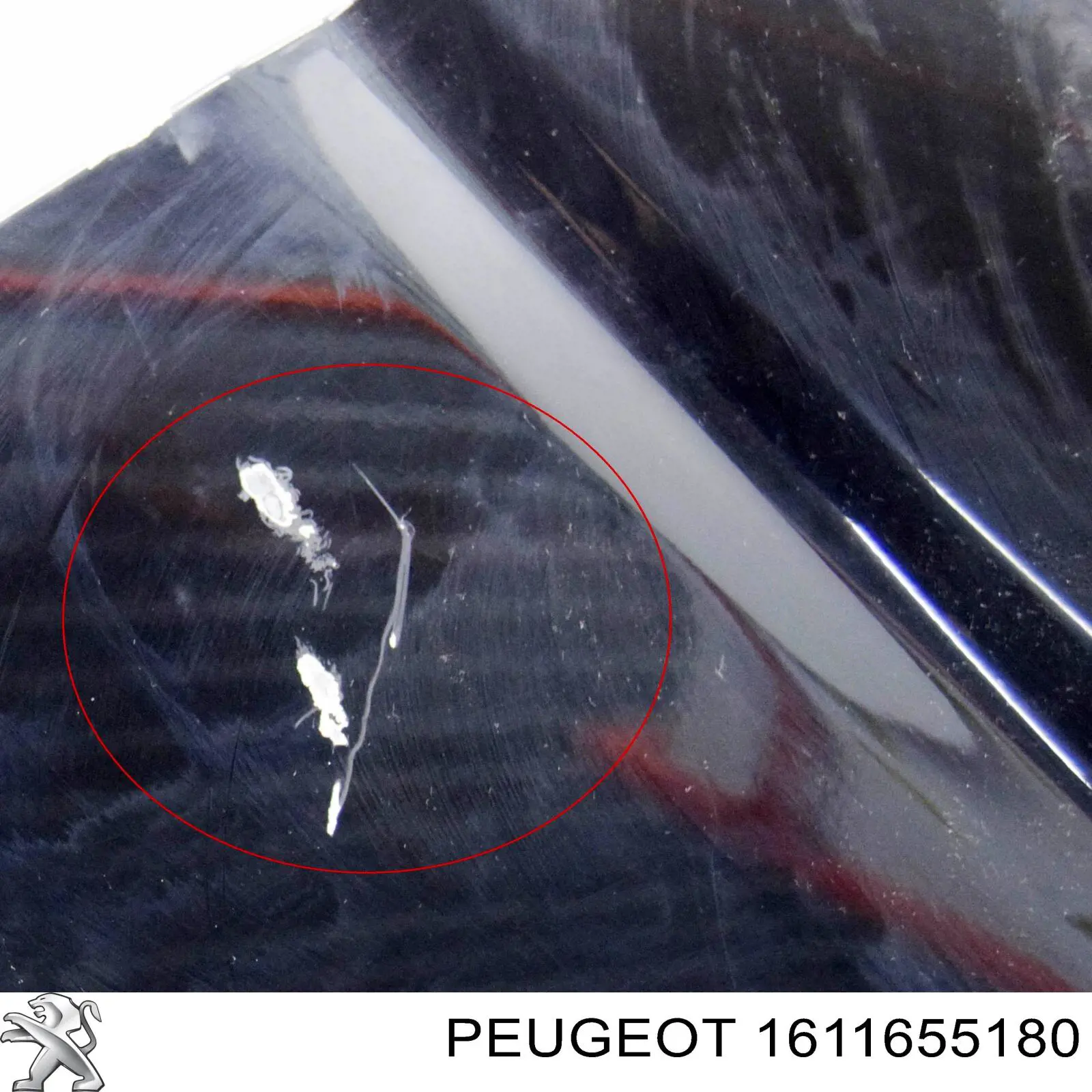 Pára-lama dianteiro esquerdo Peugeot/Citroen 1611655180