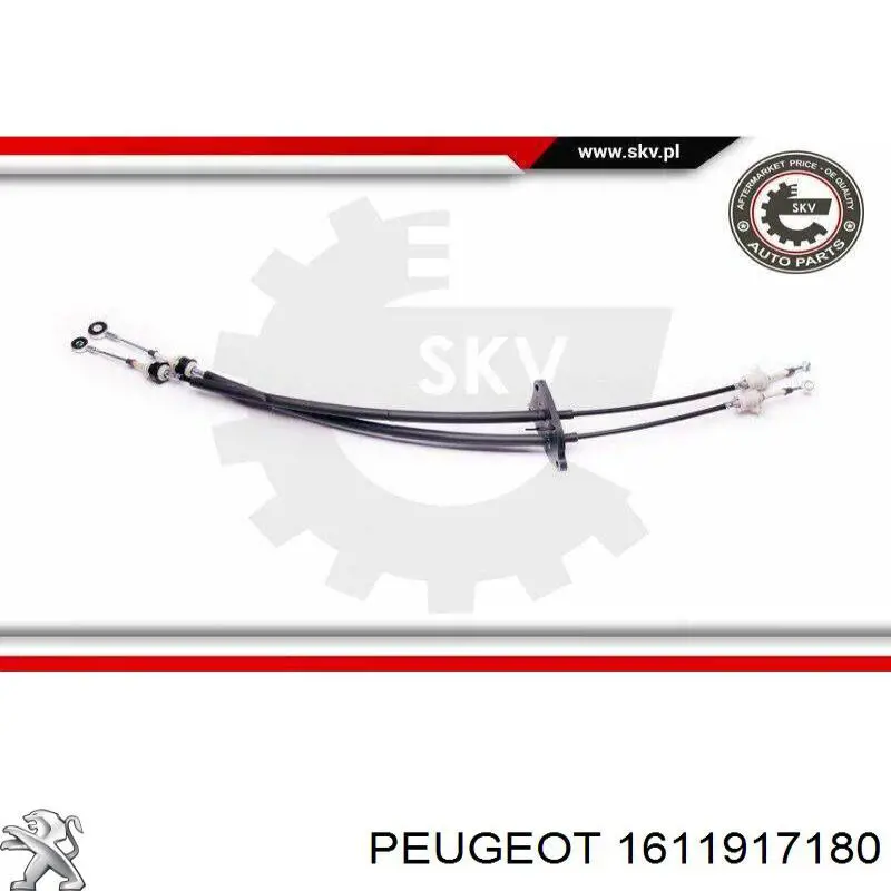 Cabo de mudança duplo Peugeot/Citroen 1680306180