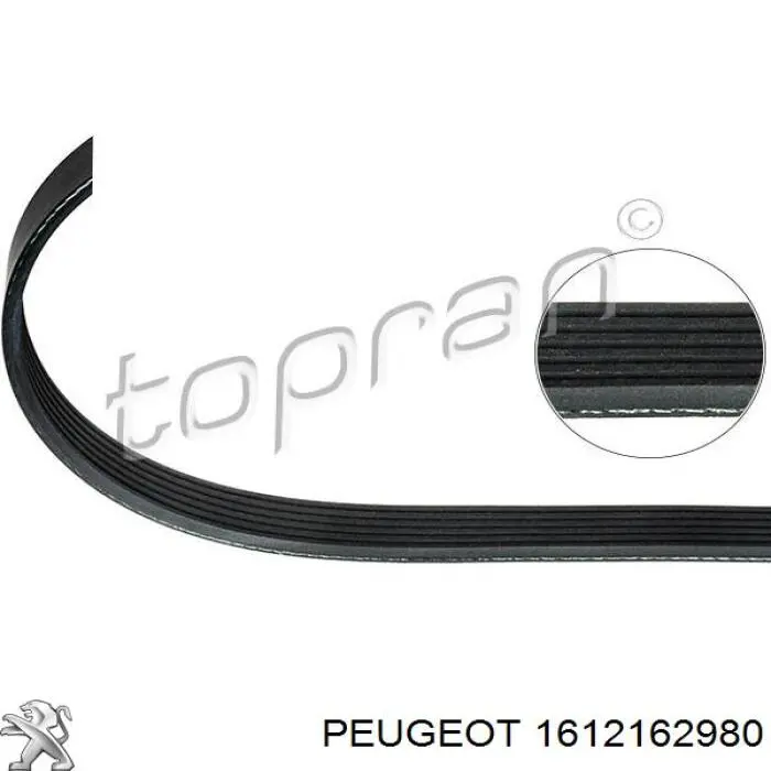 Compre 1612162980 Peugeot/Citroen Correia dos conjuntos de transmissão