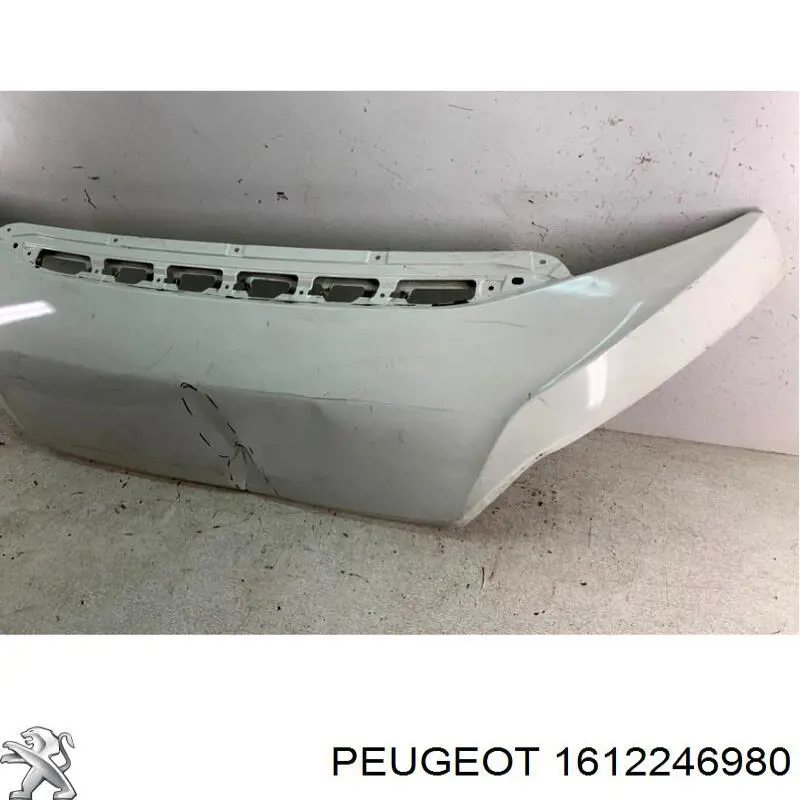 Capota 1612246980 Peugeot/Citroen