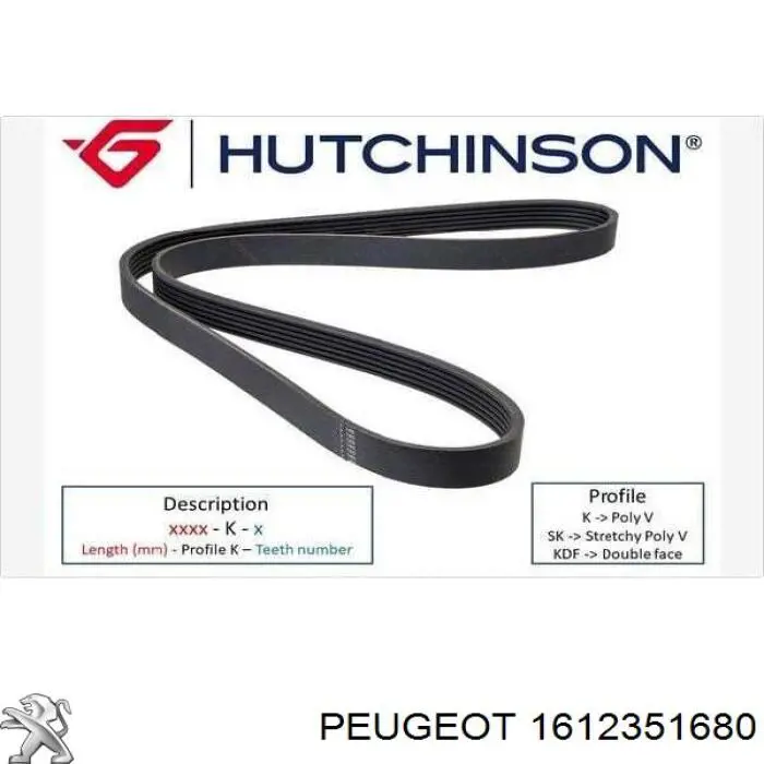 Correia dos conjuntos de transmissão 1612351680 Peugeot/Citroen