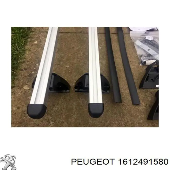  Peugeot/Citroen 1612491580