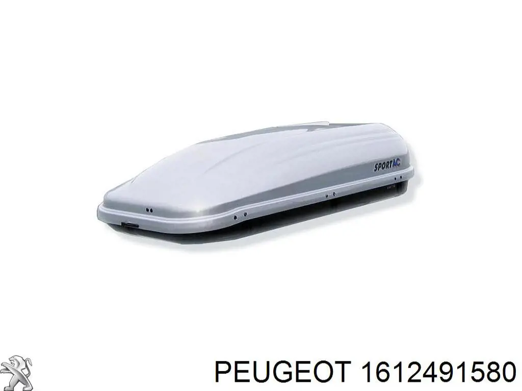 1612491580 Peugeot/Citroen