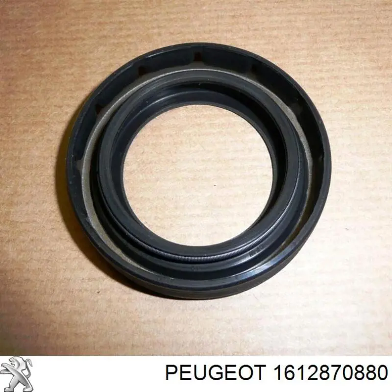Compre Tampa de tanque de fluido para lavador Peugeot Boxer 3