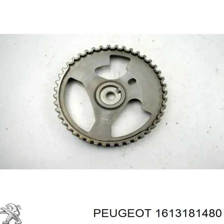 1613181480 Peugeot/Citroen Engrenagem de cadeia da roda dentada da árvore distribuidora de motor