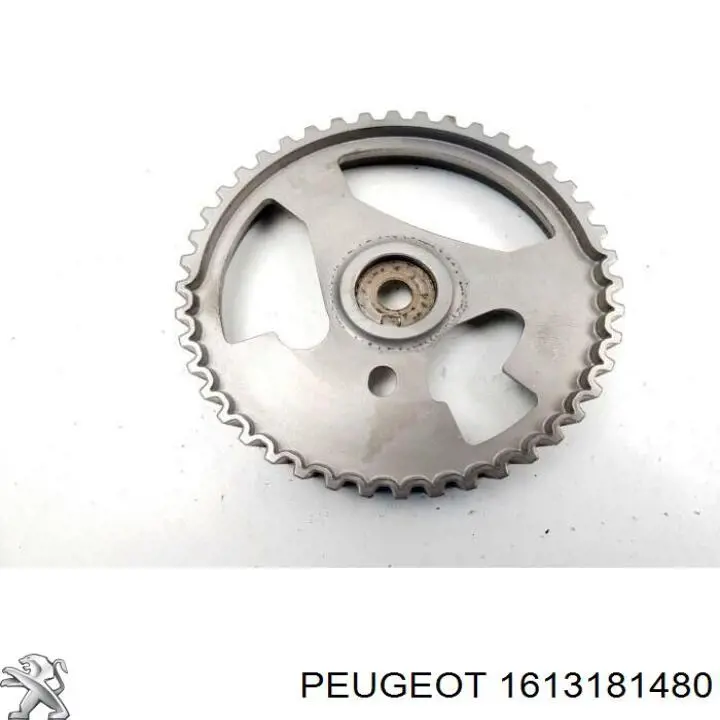 Engrenagem de cadeia da roda dentada da árvore distribuidora de motor para Citroen C3 II A51