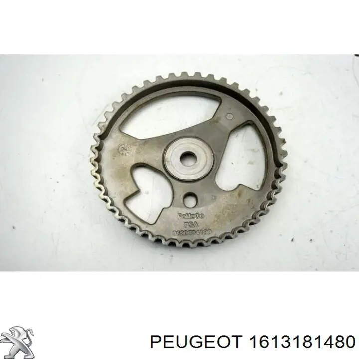 Engrenagem de cadeia da roda dentada da árvore distribuidora de motor Peugeot/Citroen 1613181480 preço, a partir de 28,31 USD