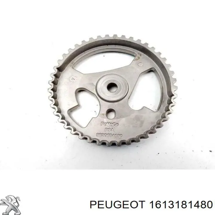 Engrenagem de cadeia da roda dentada da árvore distribuidora de motor Peugeot/Citroen 1613181480