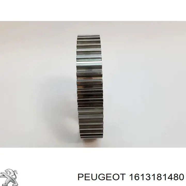 Compre 1613181480 Peugeot/Citroen Engrenagem de cadeia da roda dentada da árvore distribuidora de motor