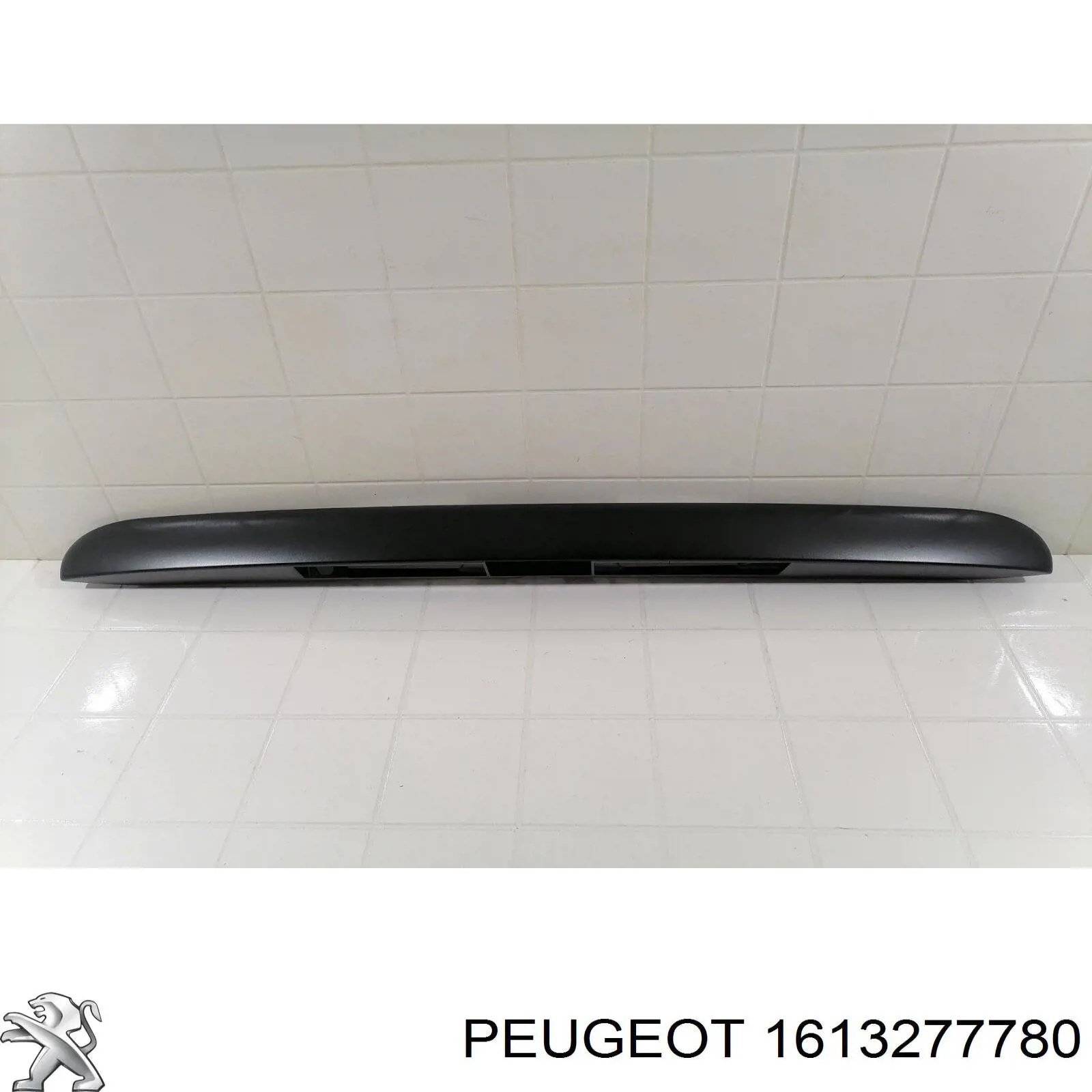  Peugeot/Citroen 1613277780