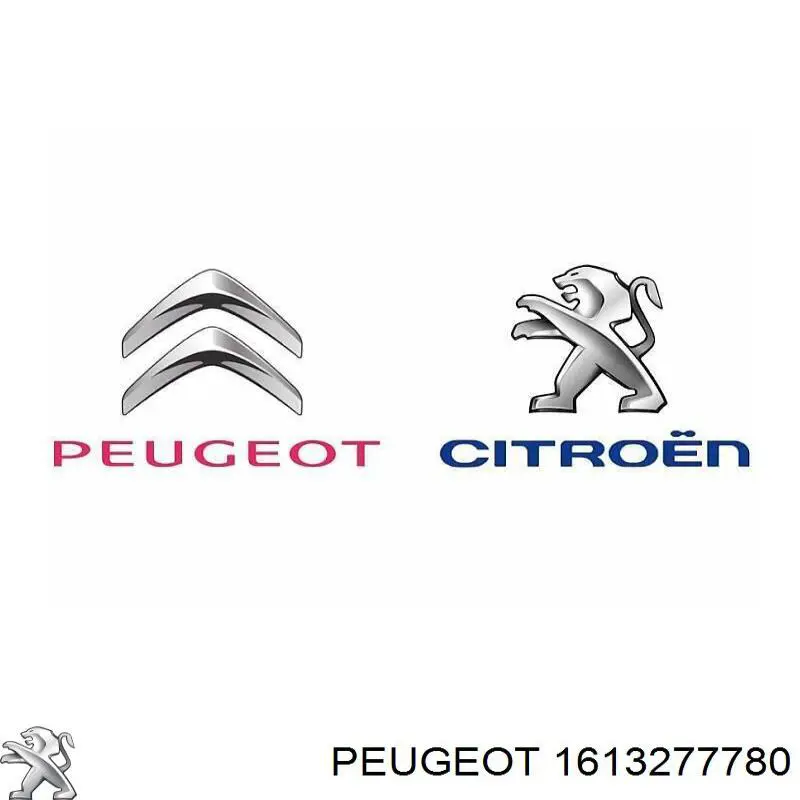 Compre 1613277780 Peugeot/Citroen Placa sobreposta de porta-malas (de 3ª/5ª porta traseira)