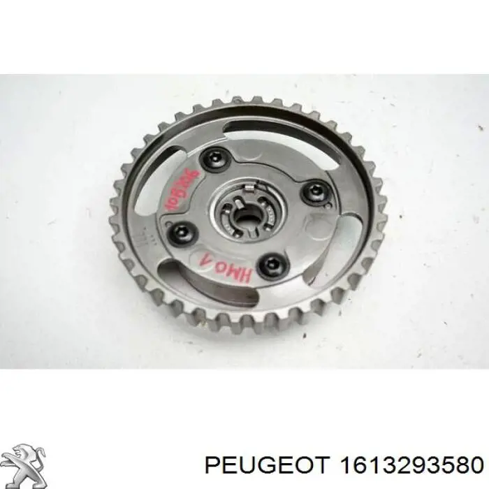 Engrenagem de cadeia de roda dentada da árvore distribuidora de escape de motor Peugeot/Citroen 1613293580 preço, a partir de 92,59 USD
