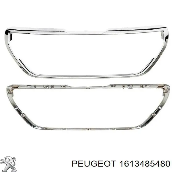1613485480 Peugeot/Citroen 