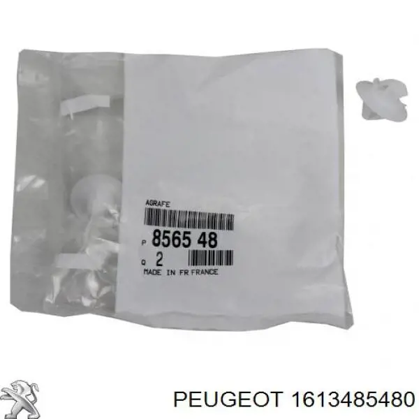 Compre 1613485480 Peugeot/Citroen 