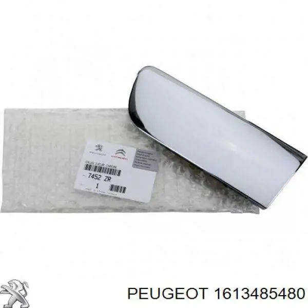  1613485480 Peugeot/Citroen