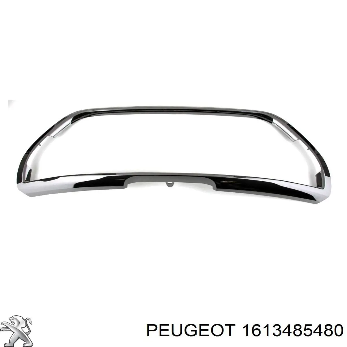  Peugeot/Citroen 1613485480