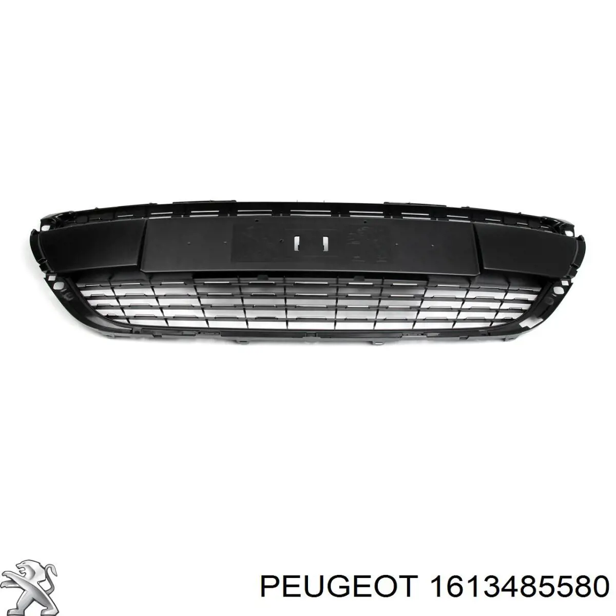 Grelha do radiador Prasco PG3282130 preço, a partir de 99,10 USD