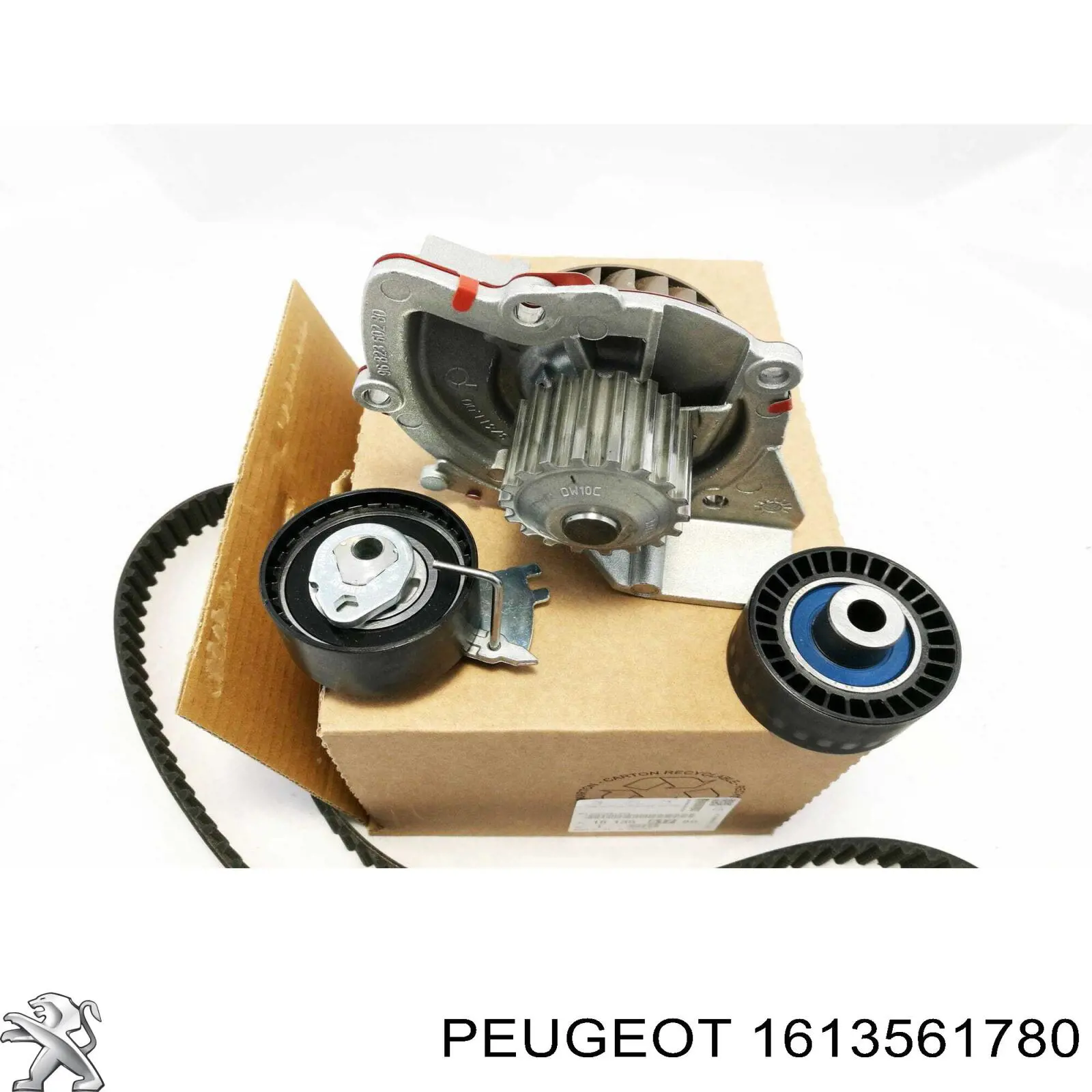 Compre 1613561780 Peugeot/Citroen Correia do mecanismo de distribuição de gás, kit