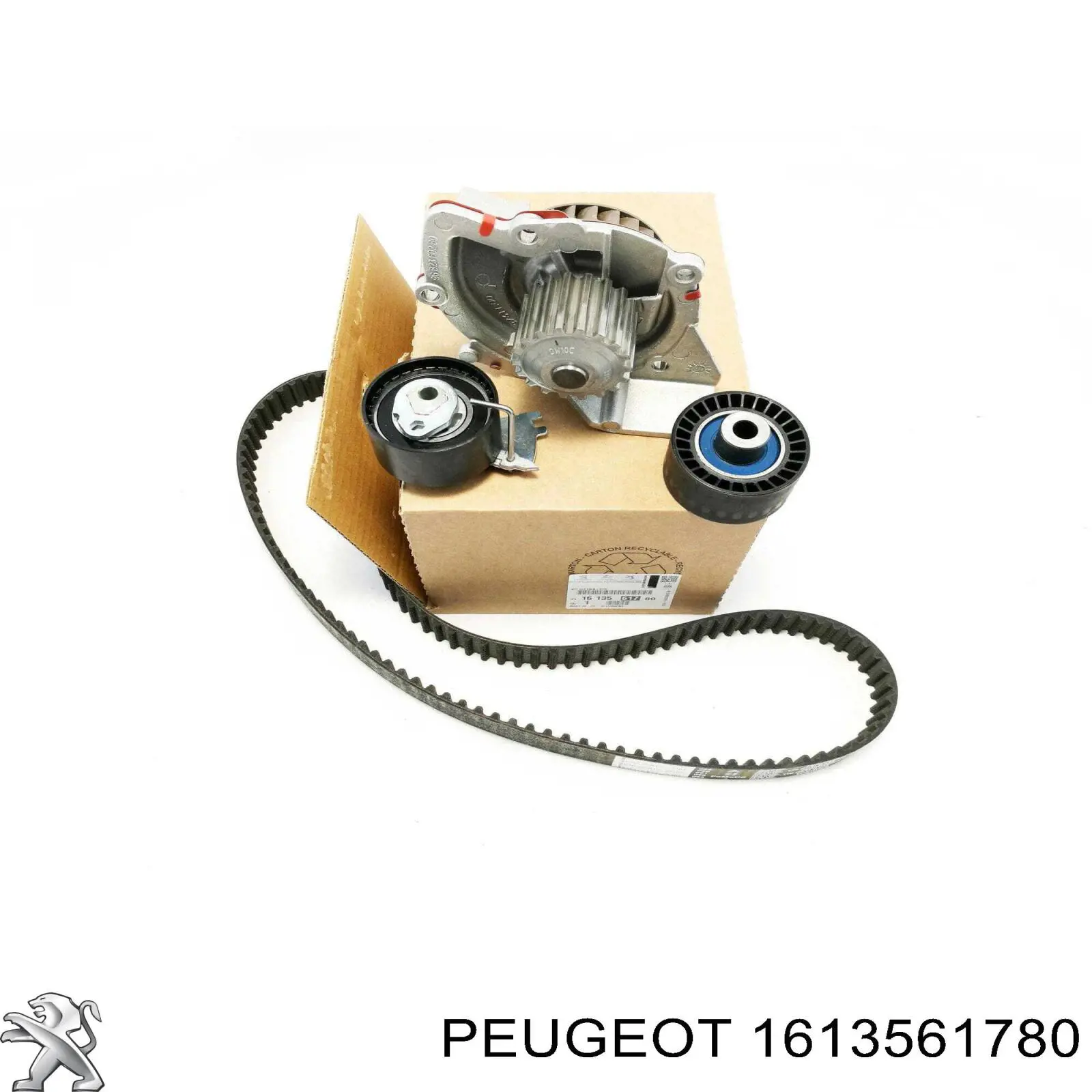 Correia do mecanismo de distribuição de gás, kit 1613561780 Peugeot/Citroen