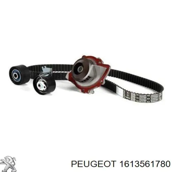 1613561780 Peugeot/Citroen Correia do mecanismo de distribuição de gás, kit