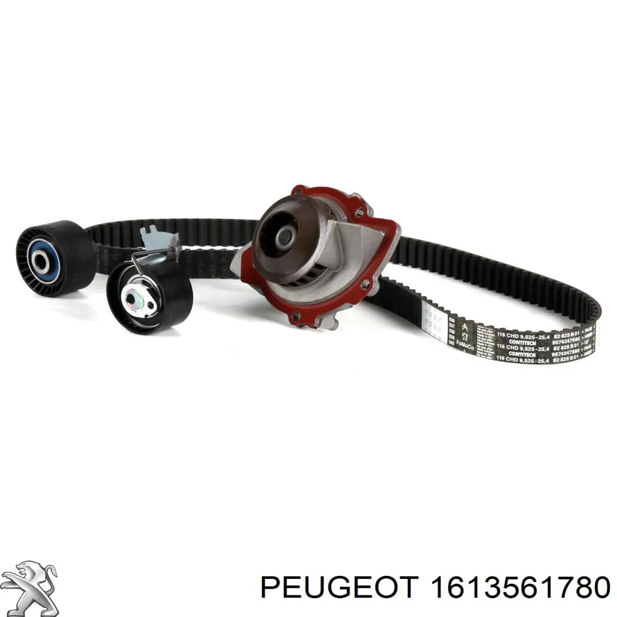 Correia do mecanismo de distribuição de gás, kit Peugeot/Citroen 1613561780 preço, a partir de 123,21 USD