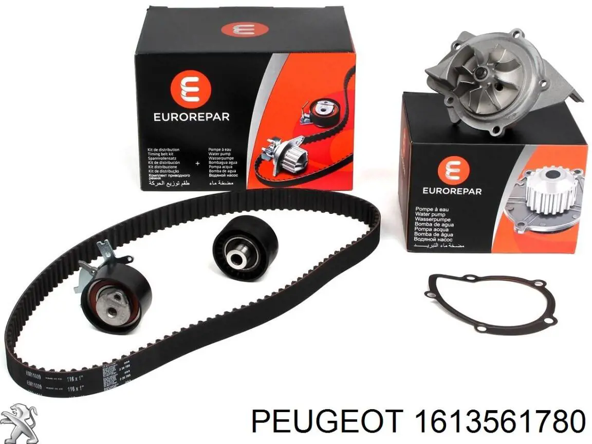 Correia do mecanismo de distribuição de gás, kit Peugeot/Citroen 1613561780