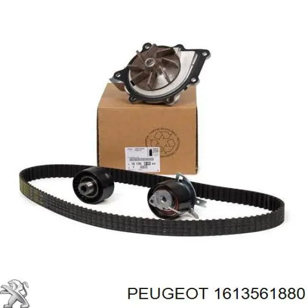 Correia do mecanismo de distribuição de gás, kit Peugeot/Citroen 1613561880 preço, a partir de 227,49 USD