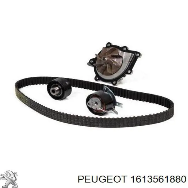 Compre 1613561880 Peugeot/Citroen Correia do mecanismo de distribuição de gás, kit