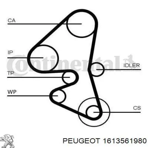 1613561980 Peugeot/Citroen Correia do mecanismo de distribuição de gás, kit
