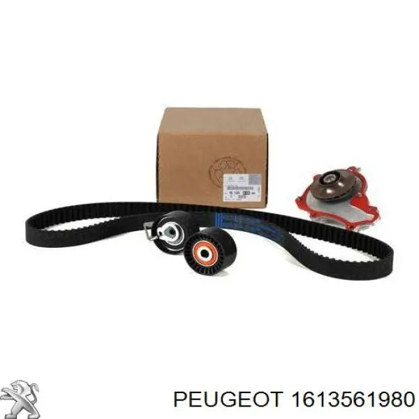 1613561980 Peugeot/Citroen Correia do mecanismo de distribuição de gás, kit