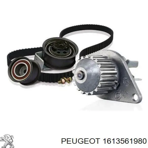 Correia do mecanismo de distribuição de gás, kit Peugeot/Citroen 1613561980 preço, a partir de 126,98 USD