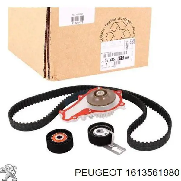 Compre 1613561980 Peugeot/Citroen Correia do mecanismo de distribuição de gás, kit