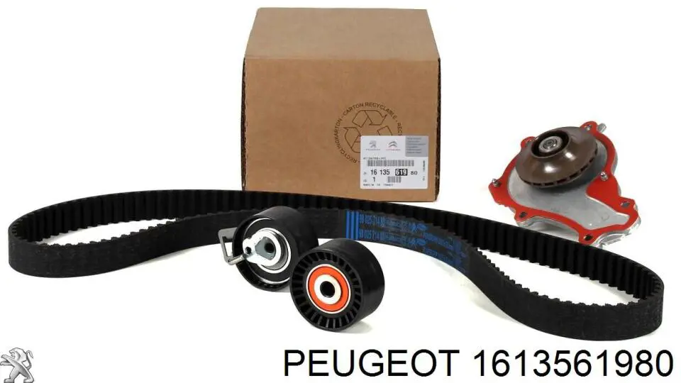 Correia do mecanismo de distribuição de gás, kit 1613561980 Peugeot/Citroen