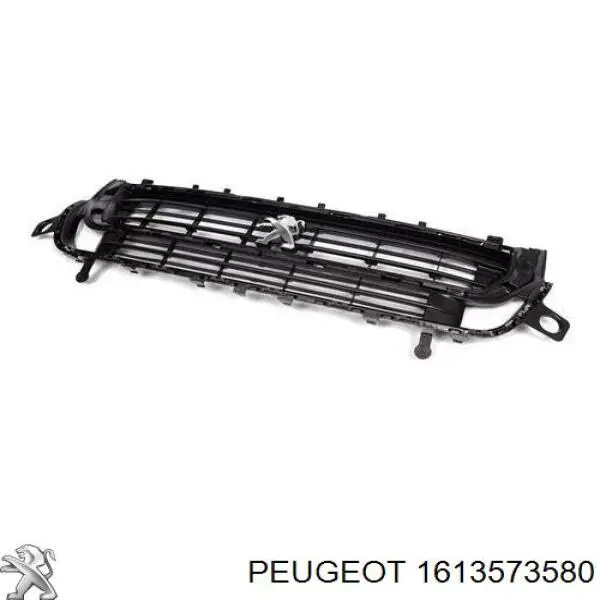 1613573580 Peugeot/Citroen Grelha do radiador