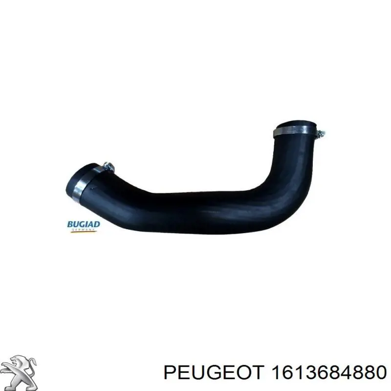 Mangueira (cano derivado) de intercooler Peugeot/Citroen 0382QS preço, a partir de 47,58 USD