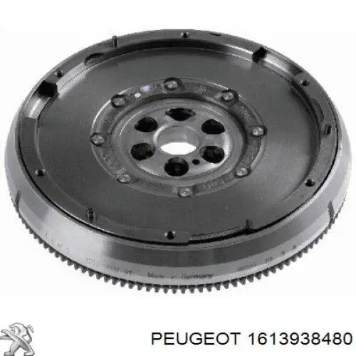 1613938480 Peugeot/Citroen 