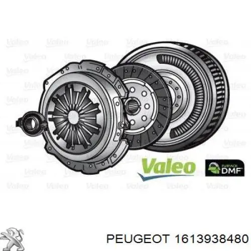 Compre 1613938480 Peugeot/Citroen 