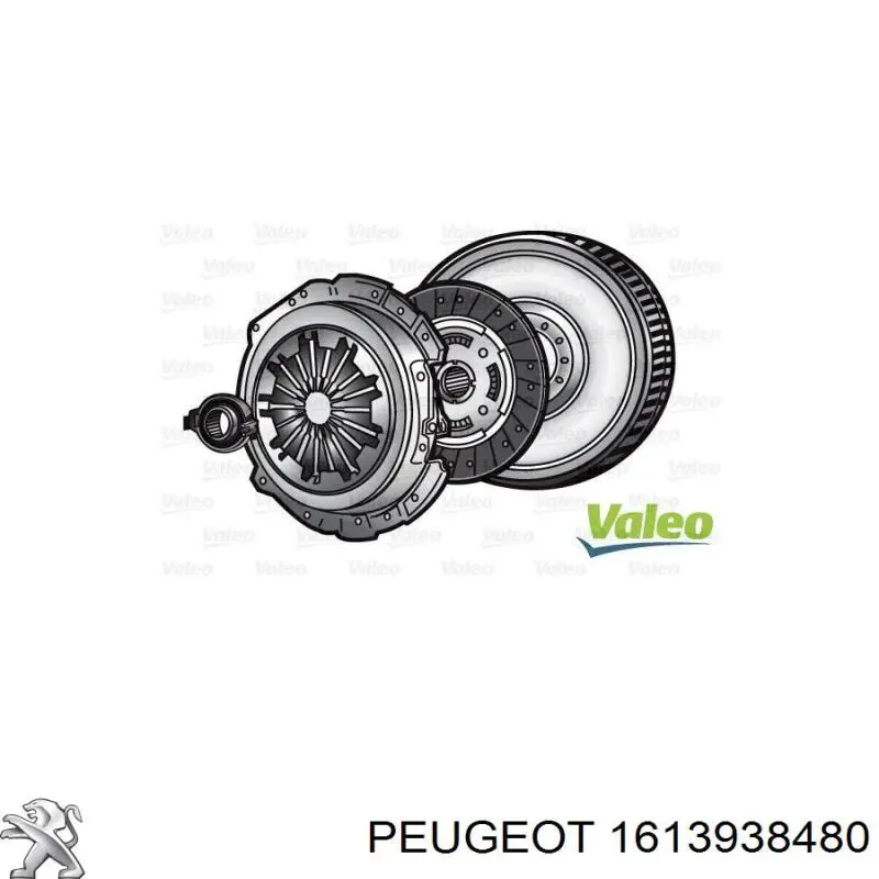  1613938480 Peugeot/Citroen