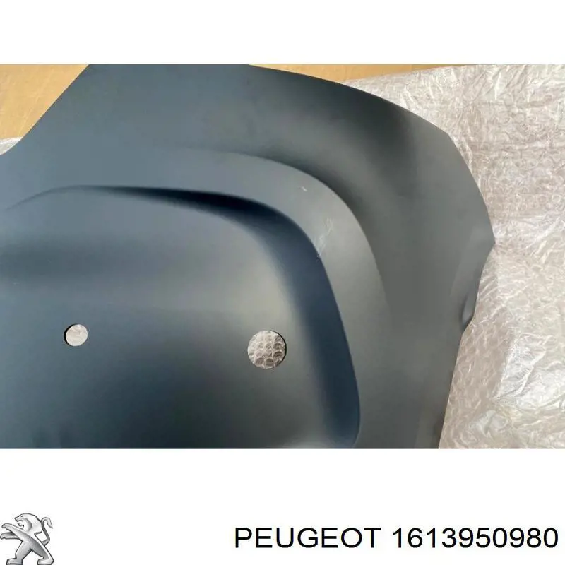 7410NT Peugeot/Citroen Pára-choque traseiro