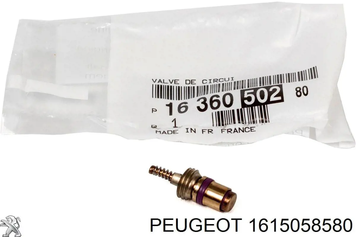1615058580 Peugeot/Citroen 