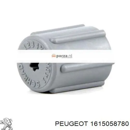  Peugeot/Citroen 1615058780