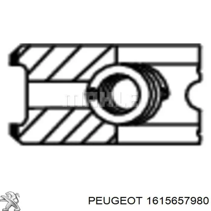 Anéis do pistão do compressor para 1 cilindro, STD 039RS001010N0 Mahle Original