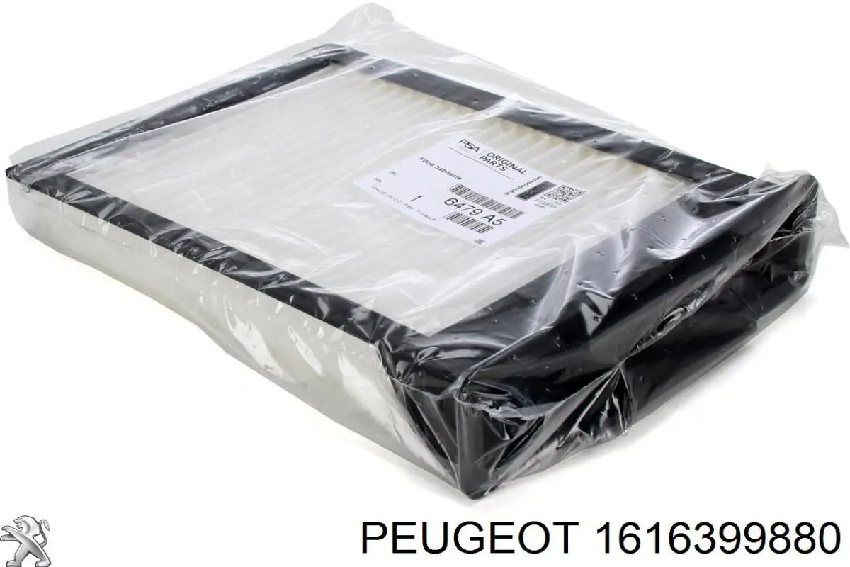 Compre 1616399880 Peugeot/Citroen Filtro de óleo